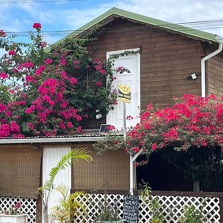 Le Cosy Bungalow De Lili / 5Min De L'Aeroport Les Abymes Exterior photo